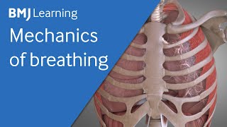 Basics of ventilation Mechanics of breathing  BMJ Learning [upl. by Roberta]