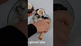 Öksürüğü Anında Kesen Doğal Antibiyotik Part2 shorts keşfet [upl. by Rubie]