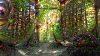 Low Dose Shroom Trip Simulation [upl. by Yeargain630]