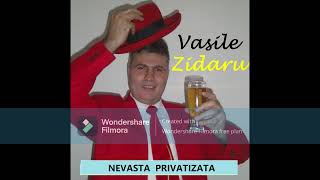 VASILE ZIDARU  NEVASTA PRIVATIZATAPARODIE [upl. by Assilanna770]