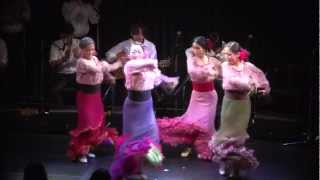 Flamenco DocumentaryYuka Imaeda 2012Full Ver （今枝友加 「iREMA」完全版） [upl. by Haronid]