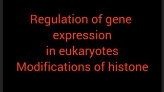 regulation of gene expression in eukaryotes [upl. by Desiri951]