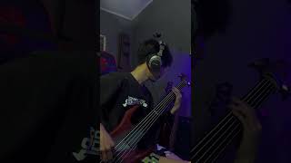 Cerebral Bore  Flesh Reflects the Madness  Fretless Bass Cover [upl. by Orrocos815]