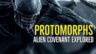 PROTOMORPHS ALIEN COVENANT Explored [upl. by Burget]