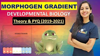 Morphogen Gradient I Developmental Biology I Theory amp PYQ 2019  2021 I Experiment on Xenopus laevis [upl. by Robyn]