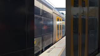 NSW TrainLink Oscar departing Chatswood railway sydneytrains train nswtrainlink shorts [upl. by Swithin122]