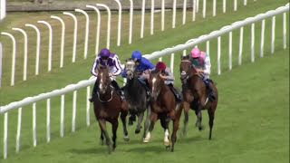 KINGMAN is all class in the 2014 QIPCO Sussex Stakes at Glorious Goodwood  Racing TV [upl. by Va]