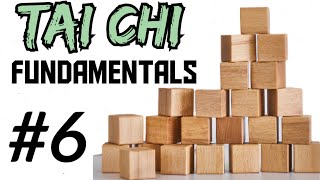 Tai Chi Fundamentals 613 Dantian Rotation [upl. by Ayekin557]