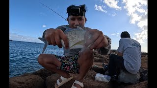 Fishing here at Sand Island Oahu Hawaii [upl. by Hobart208]