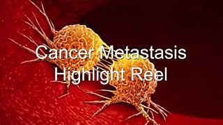 Cancer Metastasis Highlight Reel  Bioxytran BIXT Takes on Cancer [upl. by Ahsilet874]