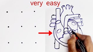 3X3 dots turns into Human Heart Diagram drawing class 10 science biology [upl. by Estren]