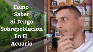 🔵 Como Saber Si Tengo Sobrepoblación En El Acuario Acuarios MB [upl. by Basir]