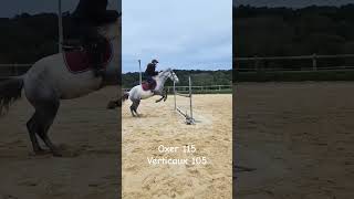 Alice séclate de plus en plus avec grisette horse pony equestrian cso cheval jumping [upl. by Thordis]