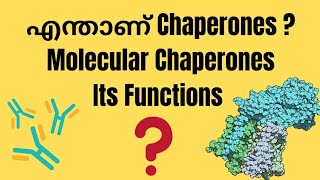 CHAPERONES  WHAT IS CHAPERONE AND WHAT IS ITS FUNCTIONS   SIMPLIFIED LECTURE  LIFESCIENCE [upl. by Adnovad698]