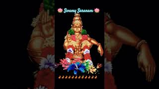 swamysaranam ayyappasaranam sabarimala sannidhaanam mandalakaalam swamiyesaranamayyappa 🙏🙏🌹 [upl. by Berns]