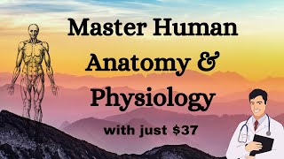 Master Human Anatomy amp Physiology In 7 DAYS Or Less [upl. by Massey]