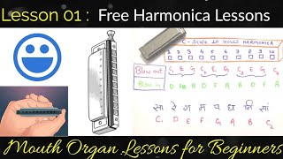 01 Mouth Organ Lessons for Beginners  Introduction to 10 Holes Harmonica [upl. by Silden]