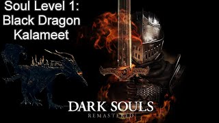 Black Dragon Kalameet SL1  Dark Souls Remastered [upl. by Oicneserc]