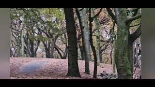 Unexplained Creepy Character in the Woods Tandle Hill Rochdale [upl. by Torto]