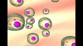 Carcinogenesis The transformation of normal cells to cancer cells [upl. by Eseerehc]