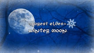 Forest Elves  Winter Moon 【Erutan Cover】 [upl. by Mayce]