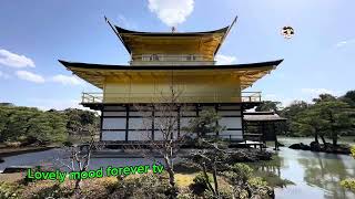 Kinkakuji Temple the Golden Pavilion Kyoto [upl. by Malti698]