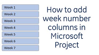 How to add week number columns in Microsoft Project [upl. by Lovash]