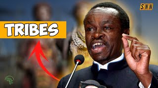 PLO LUMUMBA THE ORIGIN OF TRIBES  WHY COLONIZERS CALLED US TRIBES AND THEM NATIONS [upl. by Eannaj519]