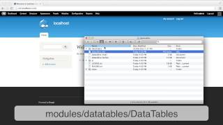 Create Powerful Tables with the DataTables jQuery Plugin and Views [upl. by Nedle]