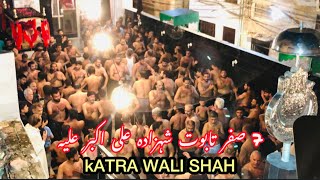 7 Safar Baramdagi Taboot Shahzada Ali Akbar as Katra wali Shah Mochi Gate Lahore [upl. by Calie]