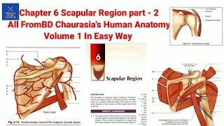 Chapter 6 Scapular Region part2 By BD Chaurasias Human Anatomy volume 1 [upl. by Eiznekam]