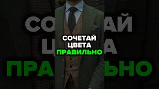 Сочетай Цвета Правильно александрсамсонов стильныемужчины мода стиль мужскойстиль [upl. by Nylisoj]