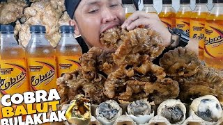 Cobra x Balut x Chicharon Bulaklak Mukbang [upl. by Maffa]