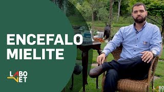 Sintomas tratamento e prevenção da Encefalomielite equina  Com o Médico Veterinário Renan Oliveira [upl. by Rusell98]