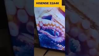 телевизор Hisense 32A4K [upl. by Gnil]