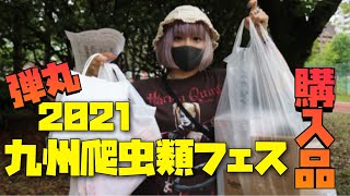 のーか 【爬虫類イベント】九レプ2021に行ってきた！！！購入品 [upl. by Ethe]