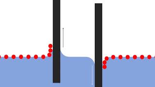 LangmuirBlodgett Trough Tutorial  Part IV Deposition of a monolayer [upl. by Nosiaj]