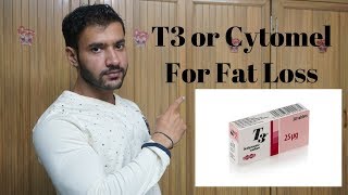 T3 or Cytomel For Fast Fat Loss [upl. by Ekusuy546]