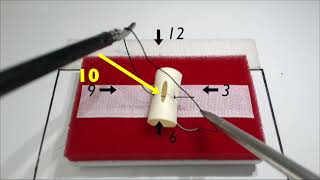 FLS and beyond Intracorporeal knot  Tips and Tricks [upl. by Isewk]