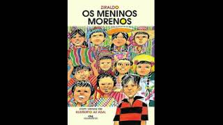 Audiolivro Os meninos morenos [upl. by Enneire469]