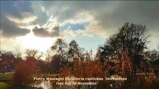 Pietro Mascagni Cavalleria rusticana Intermezzo One day in November [upl. by Sklar]