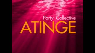 ATINGE  Party Collective  Official Audio [upl. by Jarrett]