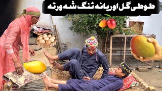 Tuti Gull Ao Reyana Teng Sha Warta Pashto New Funny Video 2024 by Bebe Vines Plus [upl. by Eicyal296]