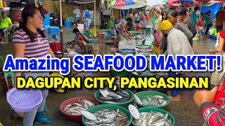 BIGGEST Seafood Market of Pangasinan  DAGUPAN FISH MARKET  PALENGKE  DECEMBER TOUR  PHILIPPINES [upl. by Wincer]