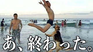 【神回】ツッコミどころ満載な動物のおもしろ動画見ようぜwwwwww12【ハプニング映像】【犬】【猫】 [upl. by Waiter134]