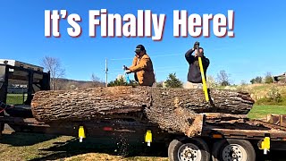 20Foot Long Epic Crotch Walnut Log Has Arrived [upl. by Corrinne183]