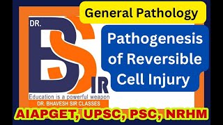 Pathogenesis of Reversible Cell Injury  General Pathology  Pathology  DrBhavesh Sir Classes [upl. by Joao265]