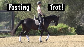 How and Why to Post the Trot [upl. by Llen]