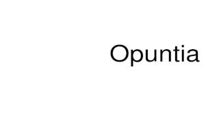 How to pronounce Opuntia [upl. by Ttezzil]