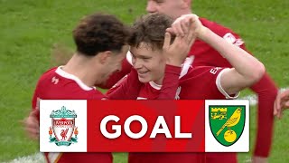 GOAL  Curtis Jones  Liverpool 10 Norwich City  Fourth Round  Emirates FA Cup 202324 [upl. by Bruno319]